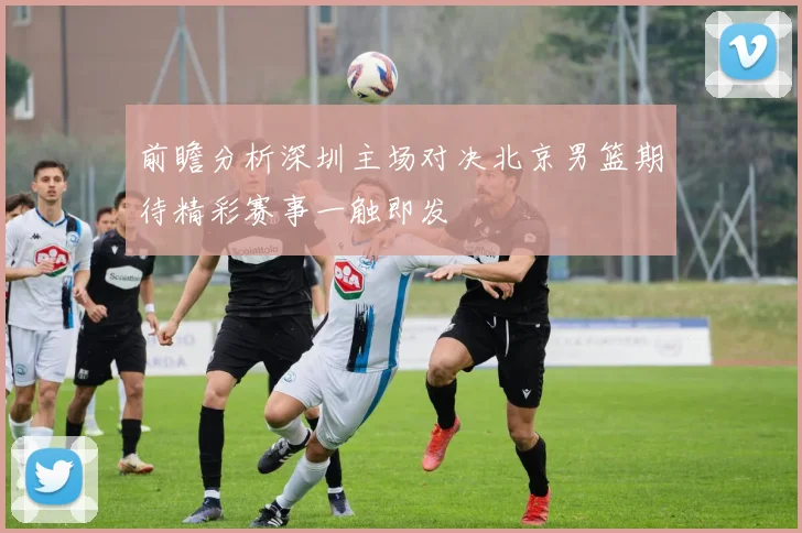 前瞻分析深圳主场对决北京男篮期待精彩赛事一触即发